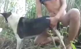 Zoo Sex Videos