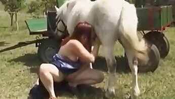 oral djurporr,zoo sex porr video