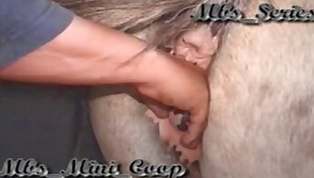sexuálne videá s koňmi,zviera šuká dievča