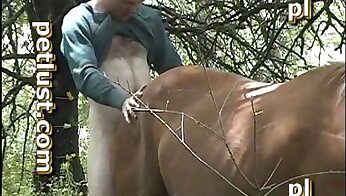 tamma vittuile,ihminen vittuilee eläimen kanssa