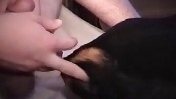 pasja pornografija brezplačno,spolni užitek