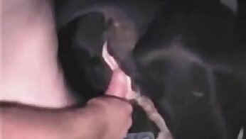 escenas de bestialidad geniales,pornografía oral de animales