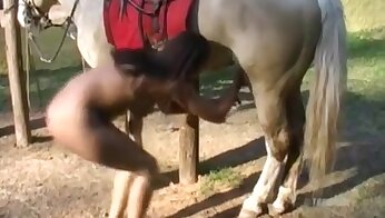 sodomie porno videos,tierporno