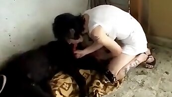 sexvideo om bestialitet gratis,hundsex video