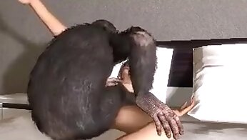 free zoo porn video,bestiality porn videos