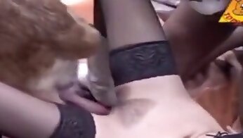 orgie porno,baise en extérieur