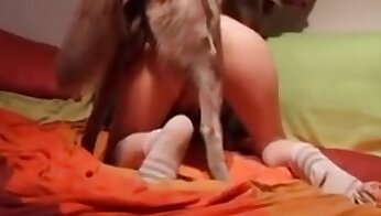 vídeos porno de perros,video porno de sexo en el zoo