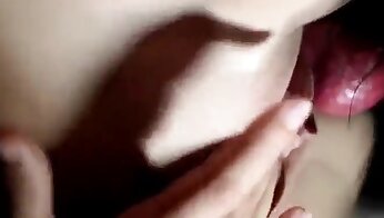 honden seks video,mens en dier seks