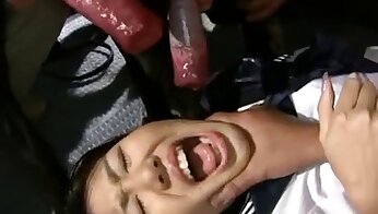 free zoo porn video,animal porn