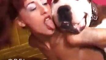 películas de zoosexo,pornografía animal
