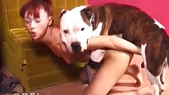 zoosex film,pornovideoer med dyr