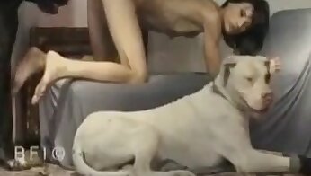 canine porn free,zoophilia sex free