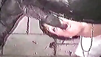 živalska pornografija,zoofilija brez seksa