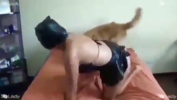 동물성애 섹스 무료,동물이 여자를 엿먹는다