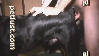 free zoo porn video,bestiality porn videos