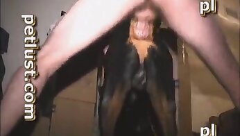 darmowe zoo porno wideo,filmy porno ze zwierzętami