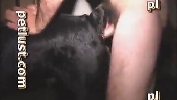 free zoo porn video,bestiality porn videos