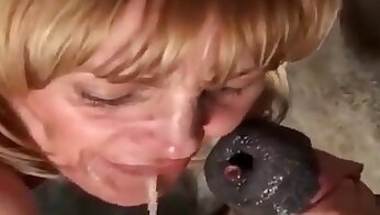 گھوڑے کی جنسی ویڈیوز,فحش ننگا ناچ