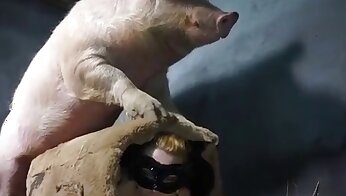 bestialiteit porno video's,dieren- en vrouwenseks