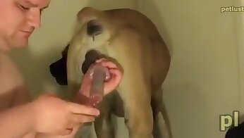 dog sex video,man and animal sex