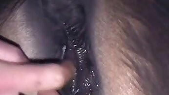 brezplačen porno video v živalskem vrtu,bestialnost porno videi