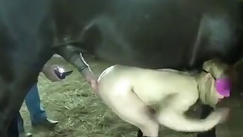 free zoo porn video,bestiality porn videos