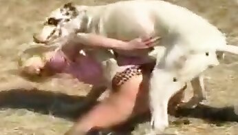 hayvanla seks,köpek pornosu bedava