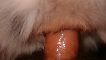 วิดีโอโป๊สวนสัตว์ฟรี,วิดีโอโป๊เกี่ยวกับสัตว์