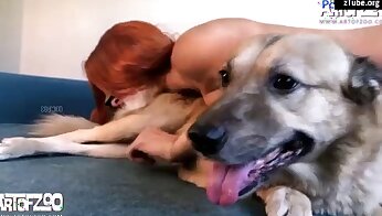 hayvanlarla cinsel ilişki porno videoları,hayvanat bahçesi porno videoları