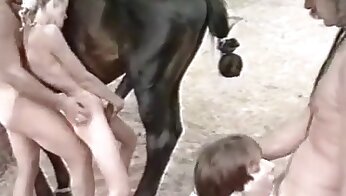 vidéos porno de zoo,plaisir sexuel