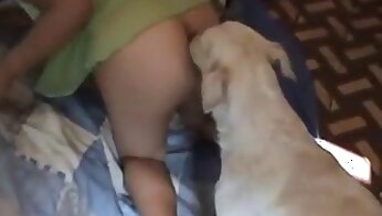 bestiality porn videos,human fucking with animal