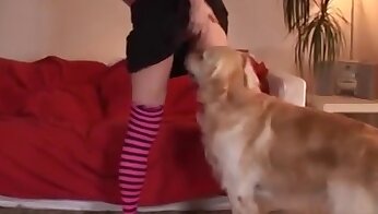 free zoo porn video,dog sex video