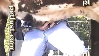 kostenloses zoo-porno-video,sodomie porno videos