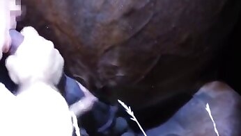 видео секса с лошадью,сексуальное удовольствие