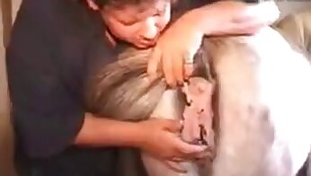 galo animal,cavalgada de galo