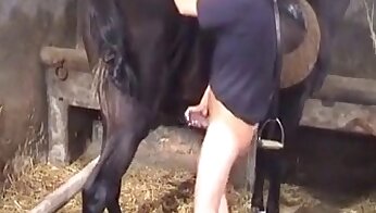 horse sex videos,animal fucks girl