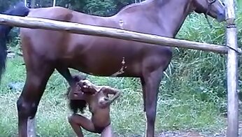 video khiêu dâm thú tính,video khiêu dâm sex ở sở thú