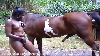 humano follando con animal,video porno de sexo en el zoo