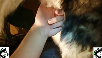 ember baromi állattal,kutya szex videó