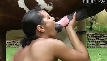 scopata selvaggia,video porno sesso allo zoo