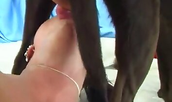 varme brunetter,zoo-sexvideo