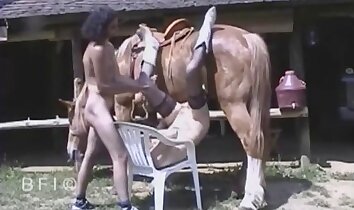 gårdssex,människa och djursex