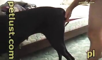 quan hệ tình dục giữa người và động vật,video sex ở sở thú