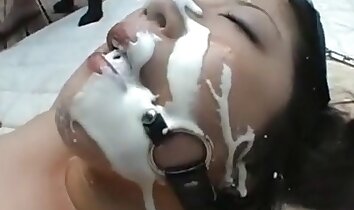 ハードコアな動物セックス,アジアの動物園ポルノ