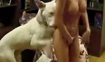 clip sex ở sở thú,cô gái tóc vàng gợi cảm