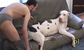 zoo sex with pets,man and animal sex