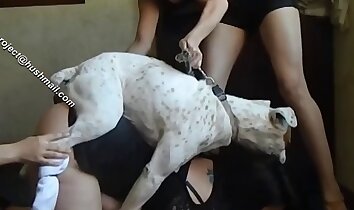 video sex ở sở thú,video khiêu dâm động vật
