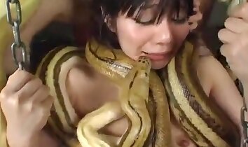 sesso hardcore con animali,clip di sesso allo zoo
