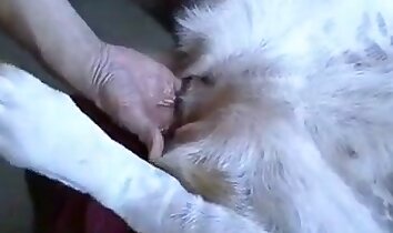 sesso intenso,pompino gola profonda