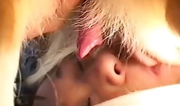 Gruppenzoophilie,intensiver Sex